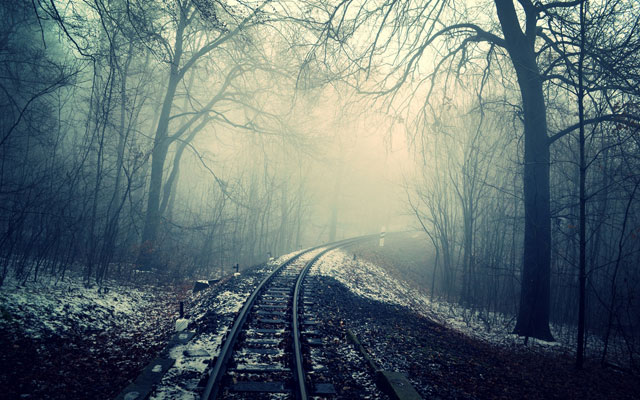 线上线下文化游 2024年新春旅游玩法“上新”