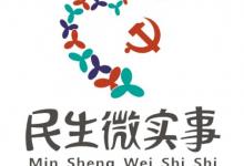 服务项目九：民生微实事活动 ▶